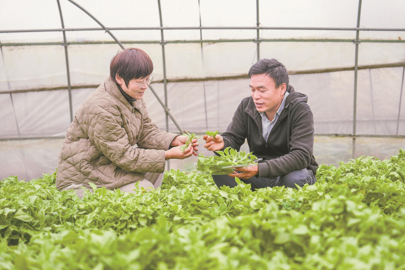 图片5.png 图片5.png